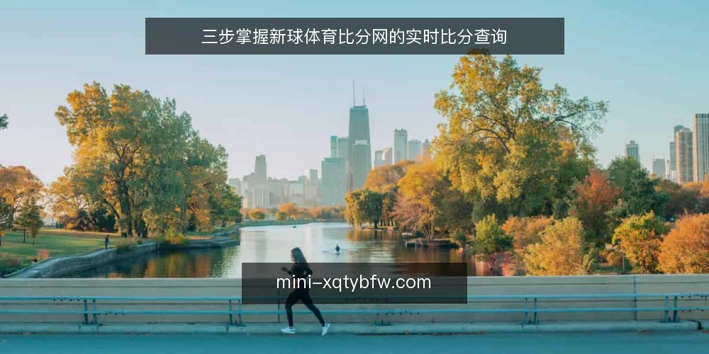 三步掌握新球体育比分网的实时比分查询 — 实时比分查询的常见痛点 配图