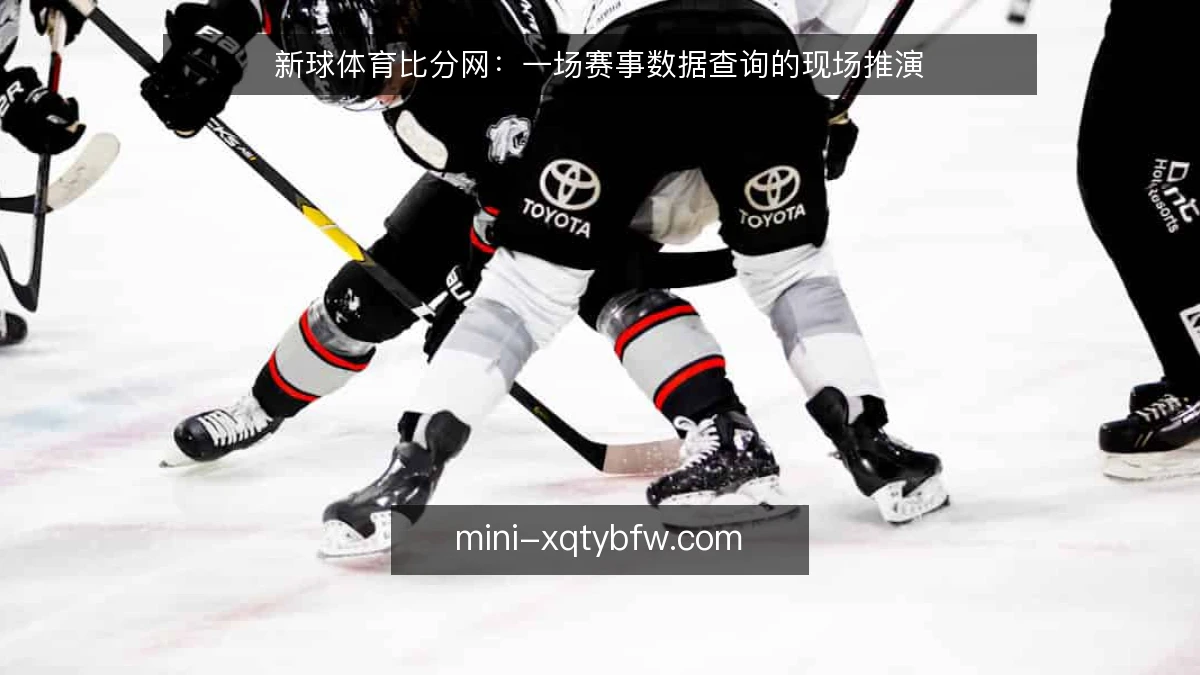 新球体育比分网：一场赛事数据查询的现场推演