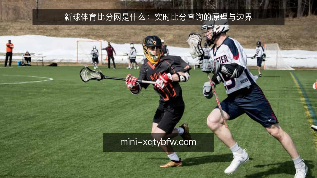新球体育比分网是什么:实时比分查询的原理与边界